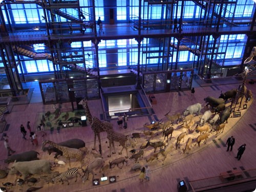 Grande Galerie de l’Evolution